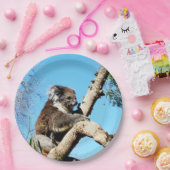 Koala Beer In Oude Pijnboom Papieren Bordje (Feest)