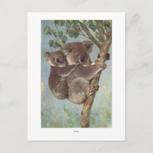 Koala-Beer in overzicht van bomen Briefkaart