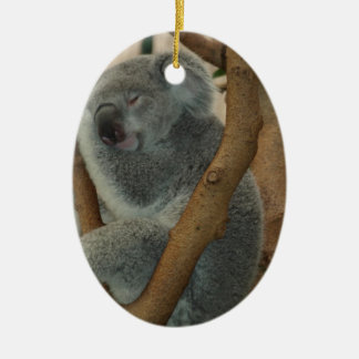 Koala Beer Keramisch Ornament