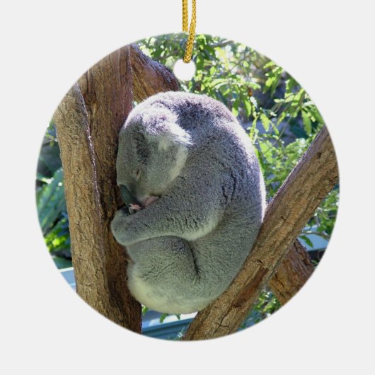 Koala Beer Keramisch Ornament (Voorkant)