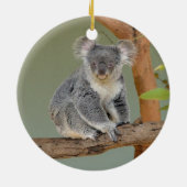 Koala Beer Keramisch Ornament (Achterkant)