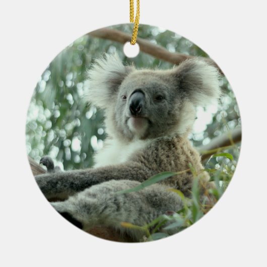Koala Beer Keramisch Ornament (Voorkant)
