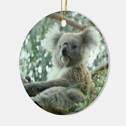 Koala Beer Keramisch Ornament (Links)