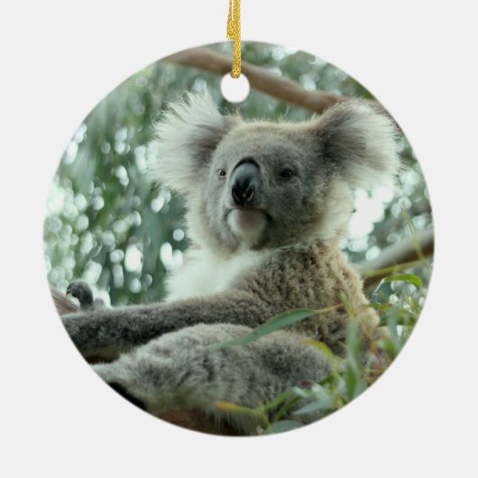 Koala Beer Keramisch Ornament (Achterkant)