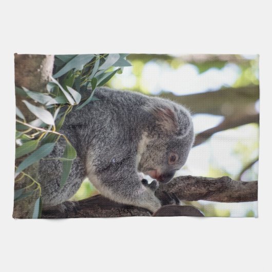 Koala Beer Kitchen Towel Theedoek (Horizontaal)