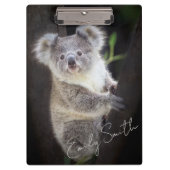 Koala Beer Klembord (Voorkant)