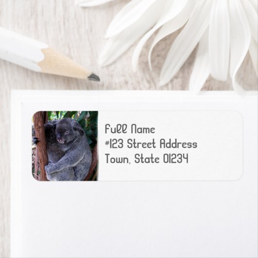 Koala Beer knuffel retour adres label (Insitu)