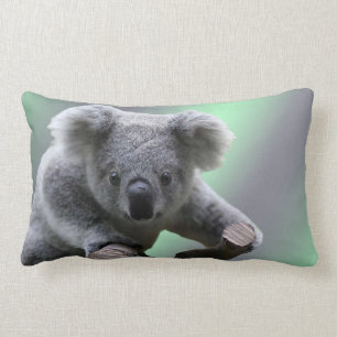 Koala Beer Kussen