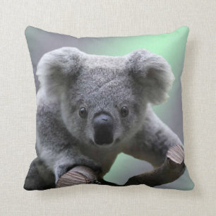 Koala Beer Kussen