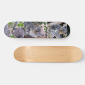 Koala Beer" Laten we dit doen"_Skateboard Persoonlijk Skateboard (Horizontaal)