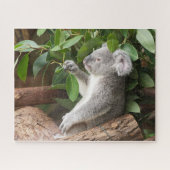 Koala Beer Legpuzzel (Horizontaal)