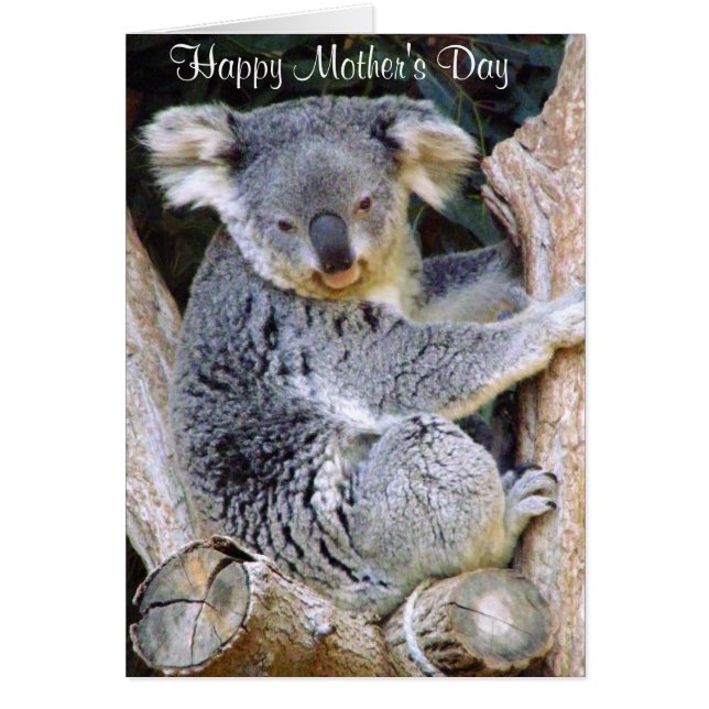 Koala Beer Love_ (Voorkant)