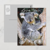 Koala Beer Love_ Briefkaart (Voorkant / Achterkant)
