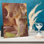 Koala Beer Love Fotoplaat (Zijkant)