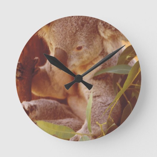Koala Beer Love Ronde Klok (Voorkant)