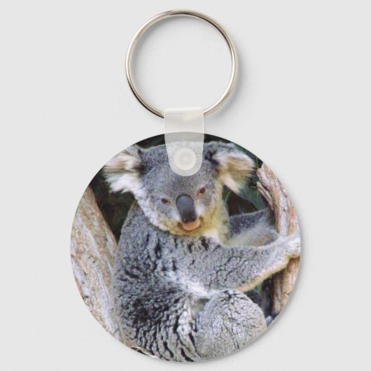 Koala Beer Love_ Sleutelhanger (Voorkant)
