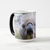 Koala Beer Magische Mok (Voorkant links)