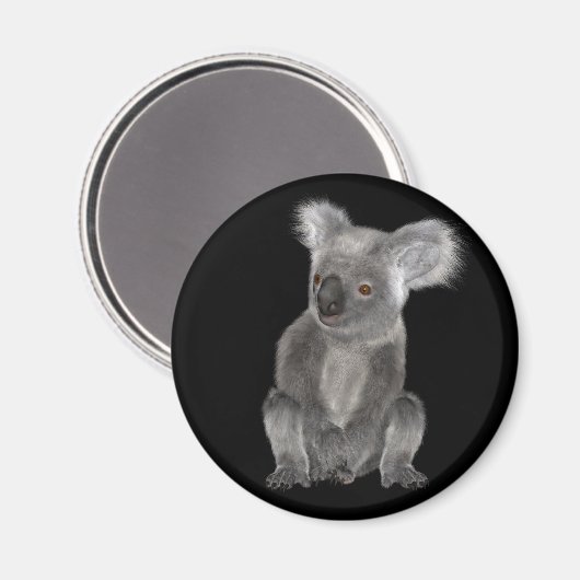 Koala Beer Magneet (Voorkant / Achterkant)