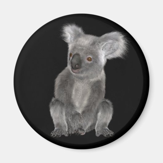 Koala Beer Magneet (Voorkant)