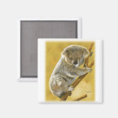 Koala Beer Magneet (Voorkant / Achterkant)