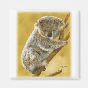 Koala Beer Magneet