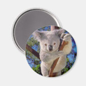 Koala Beer Magneet (Voorkant / Achterkant)