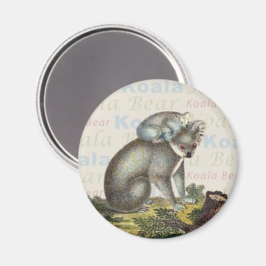 Koala Beer Magnet (Voorkant / Achterkant)