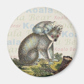 Koala Beer Magnet (Voorkant)