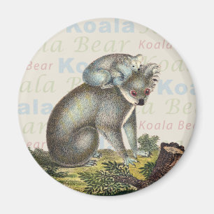 Koala Beer Magnet