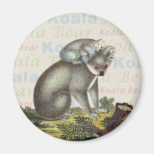 Koala Beer Magnet (Voorkant)