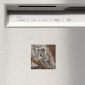 Koala Beer Magnet (Insitu (Vaatwasser))