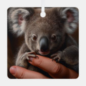 Koala Beer Metalen Ornament (Voorkant)