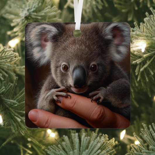 Koala Beer Metalen Ornament (Insitu)