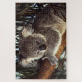 Koala Beer op een boomtak is hij schattig. Legpuzzel (Verticaal)