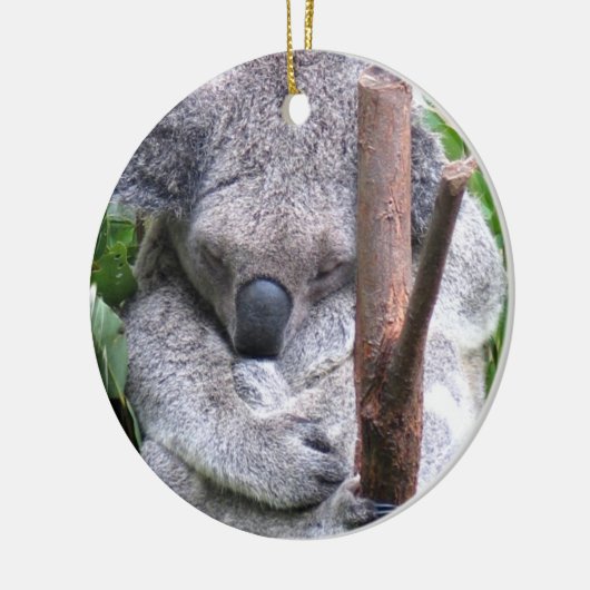 Koala Beer Ornament (Links)