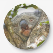 Koala Beer Paper Bord (Voorkant)