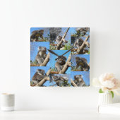 Koala Beer Photo Collage Vierkante Klok (Huis)