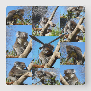 Koala Beer Photo Collage Vierkante Klok