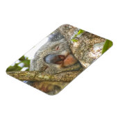 Koala Beer Photo Magnet Magneet (Linkerzijde)