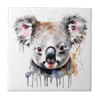 Koala Beer Portret