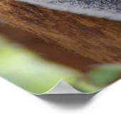 Koala Beer Poster (Hoek)