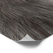 Koala Beer Poster (Hoek)