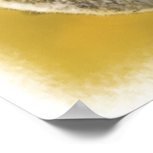 Koala-Beer... Poster en afdrukken. (Hoek)