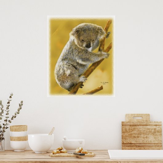 Koala-Beer... Poster en afdrukken. (Keuken)