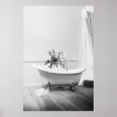 Koala Beer Poster voor in bad (Voorkant)