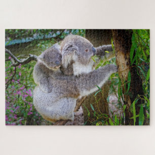 koala beer puzzel