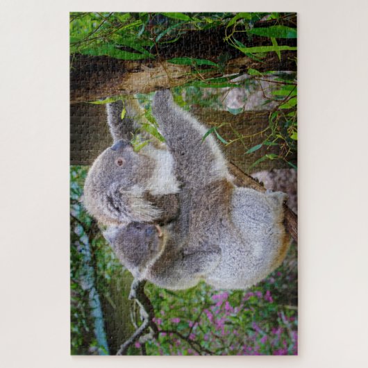 koala beer puzzel legpuzzel (Verticaal)