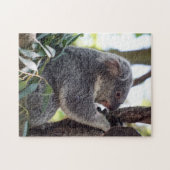 Koala Beer Puzzle Legpuzzel (Horizontaal)