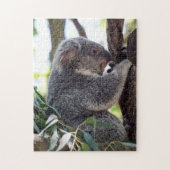 Koala Beer Puzzle Legpuzzel (Verticaal)