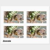 Koala Beer Rechthoekige Sticker (Vel)